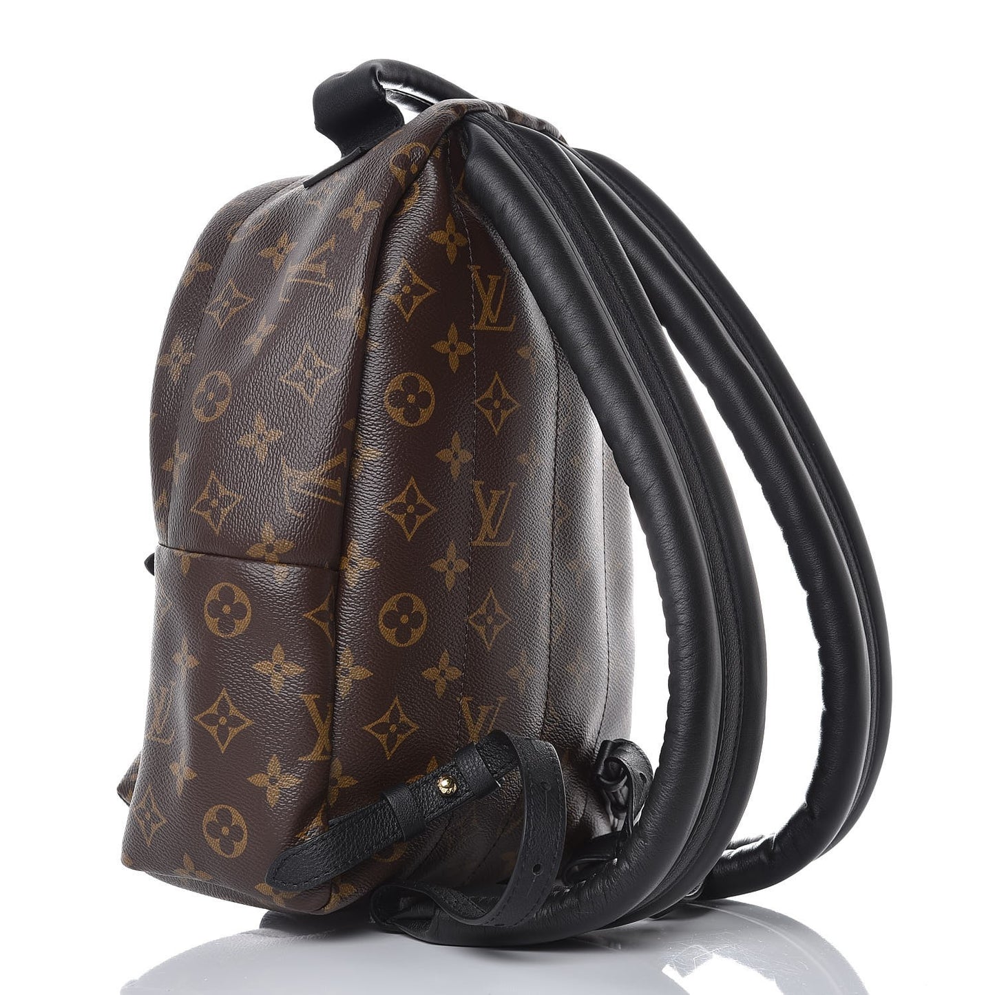 Monogram Palm Springs Backpack PM