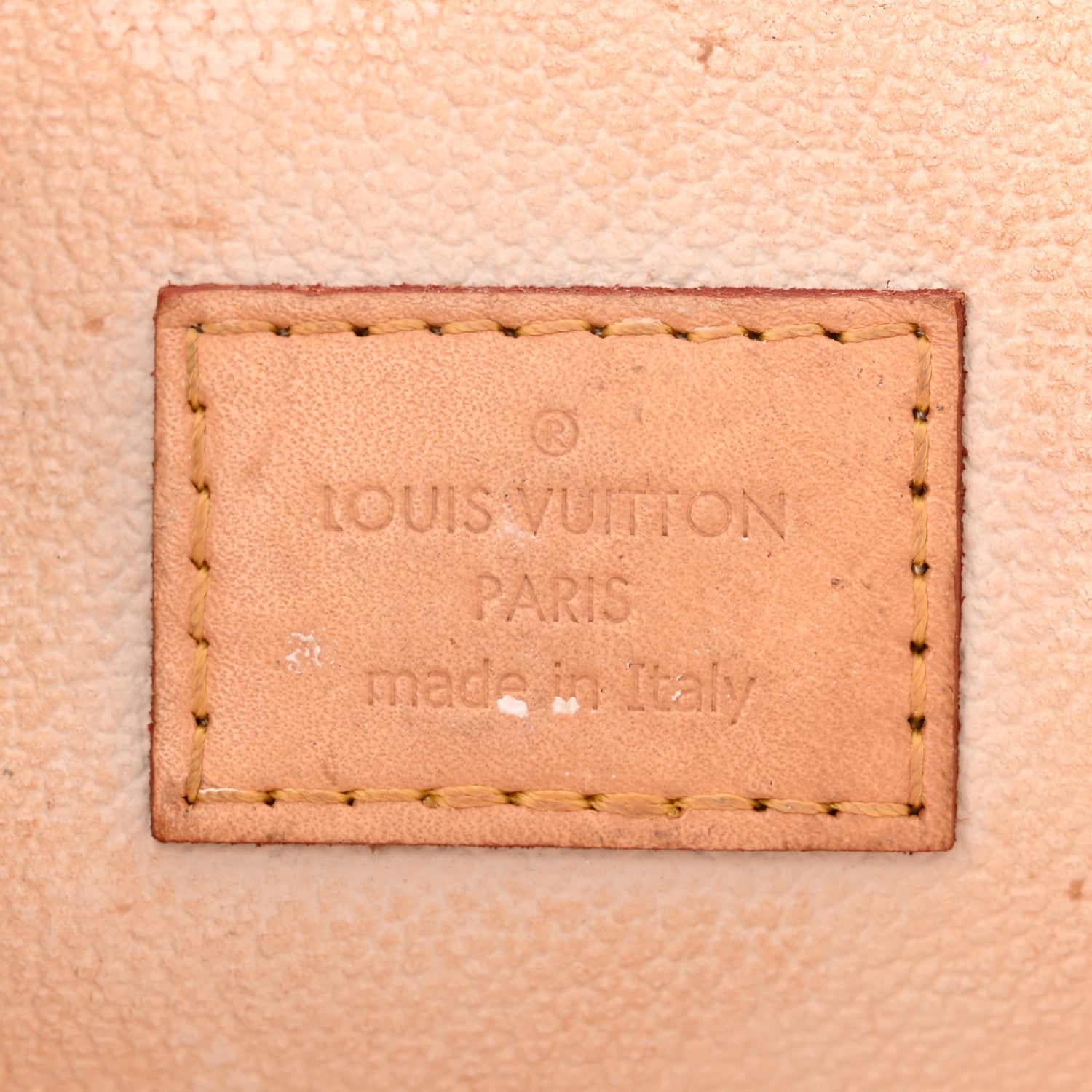 Louis Vuitton Monogram Giant By The Pool Nice BB Brume 6 of 13