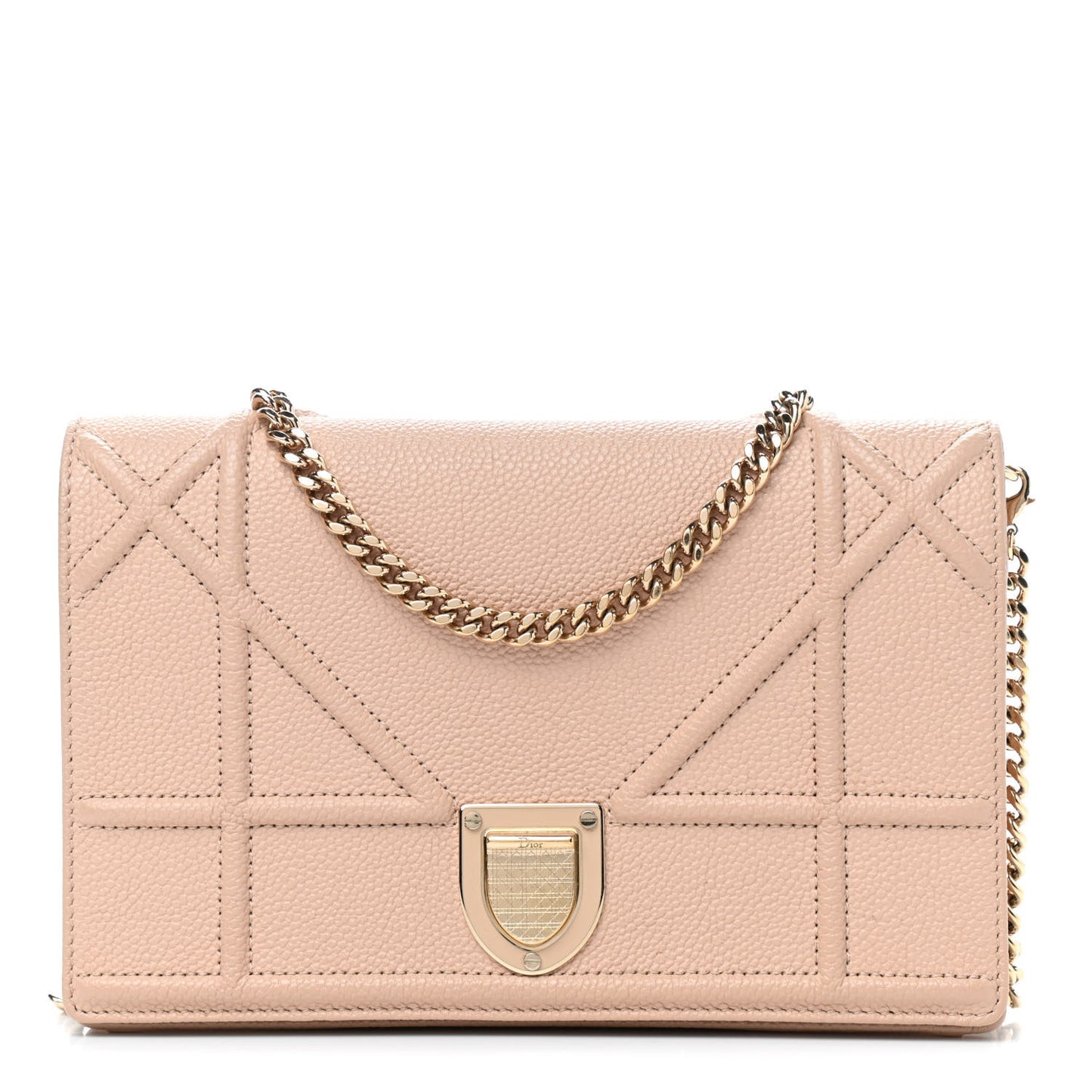 Grained Calfskin Diorama Wallet on Chain Pouch Nude