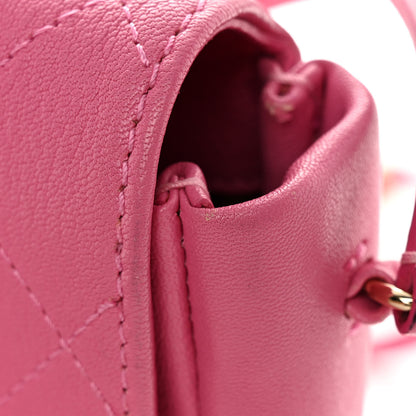 Chanel Goatskin Stitched Casual Trip Messenger Flap Pink 12 of 13