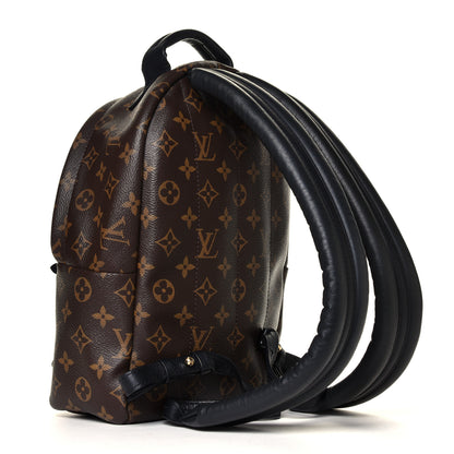 Louis Vuitton Monogram Palm Springs Backpack PM 2 of 6