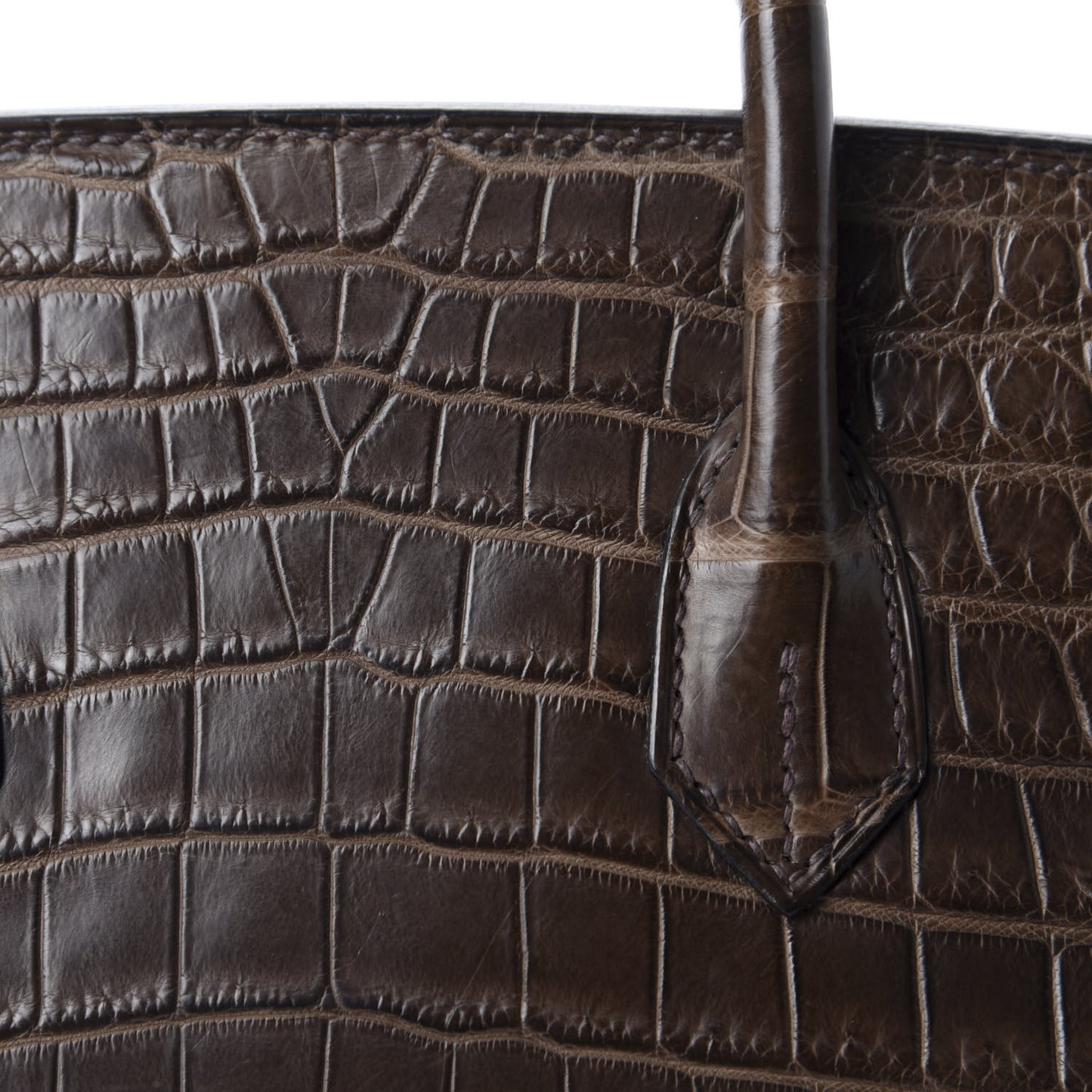 Matte Niloticus Crocodile Birkin 30 Gris Elephant