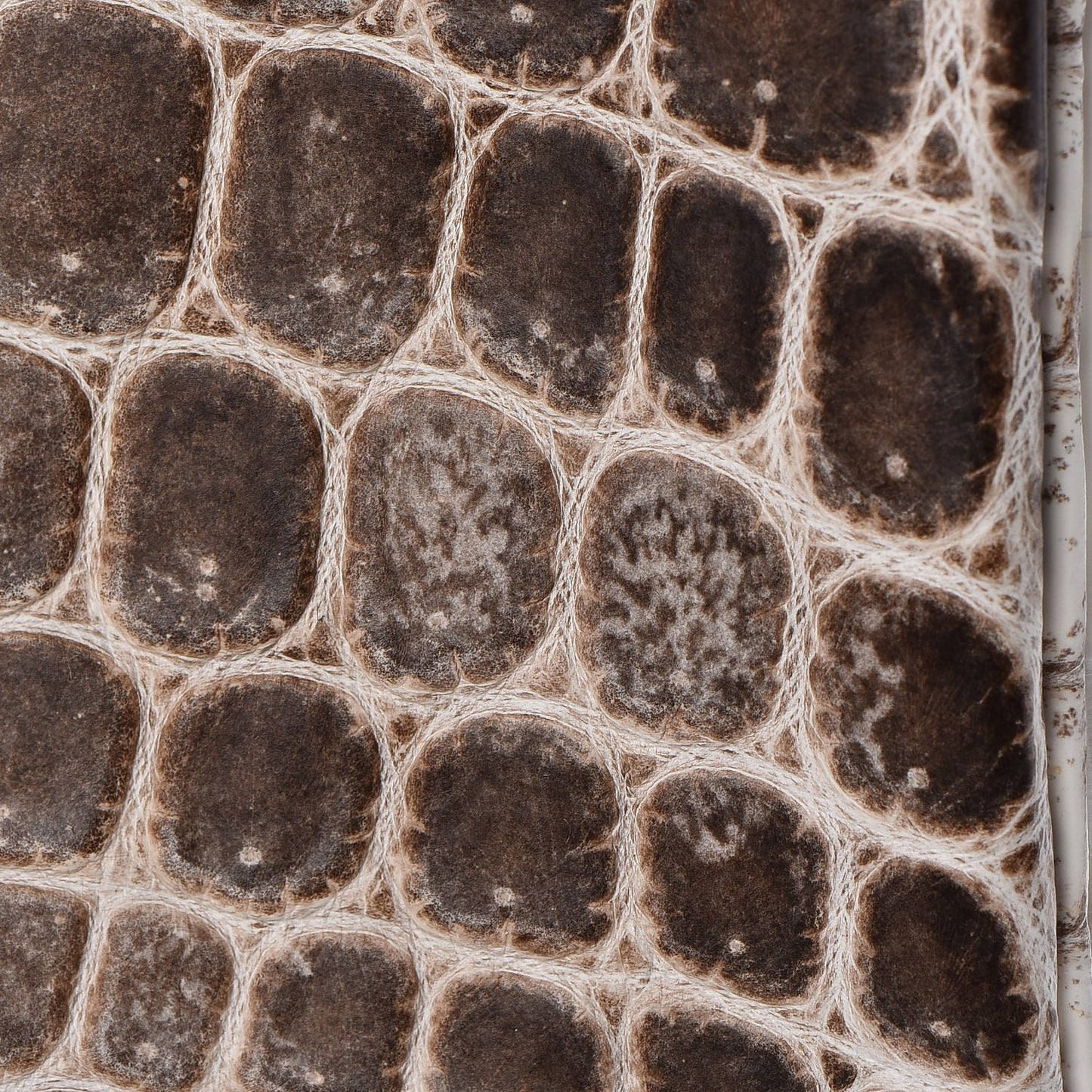 Matte Niloticus Crocodile Himalaya Birkin 30 Blanc