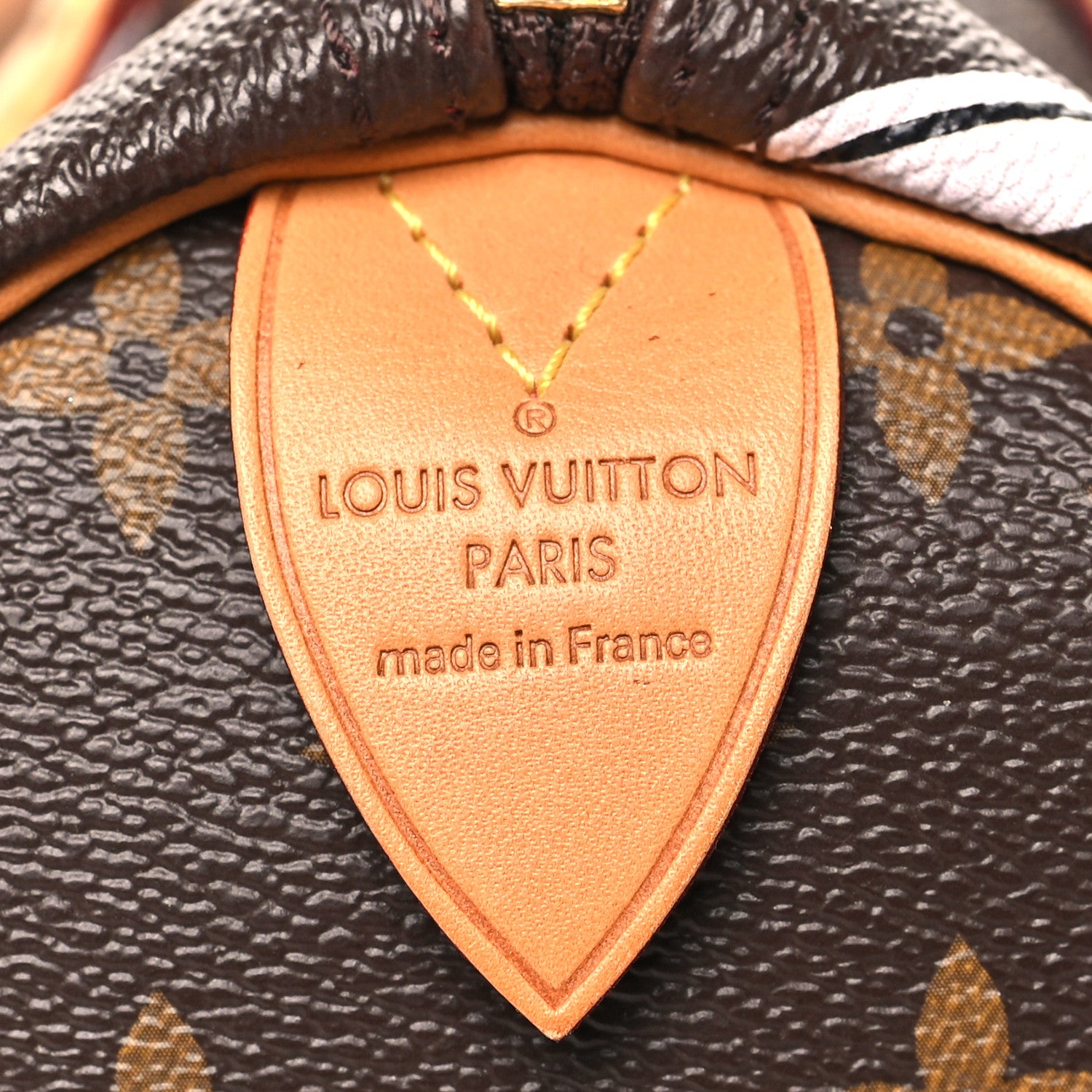 Louis Vuitton Monogram Roses Speedy 30 6 of 9