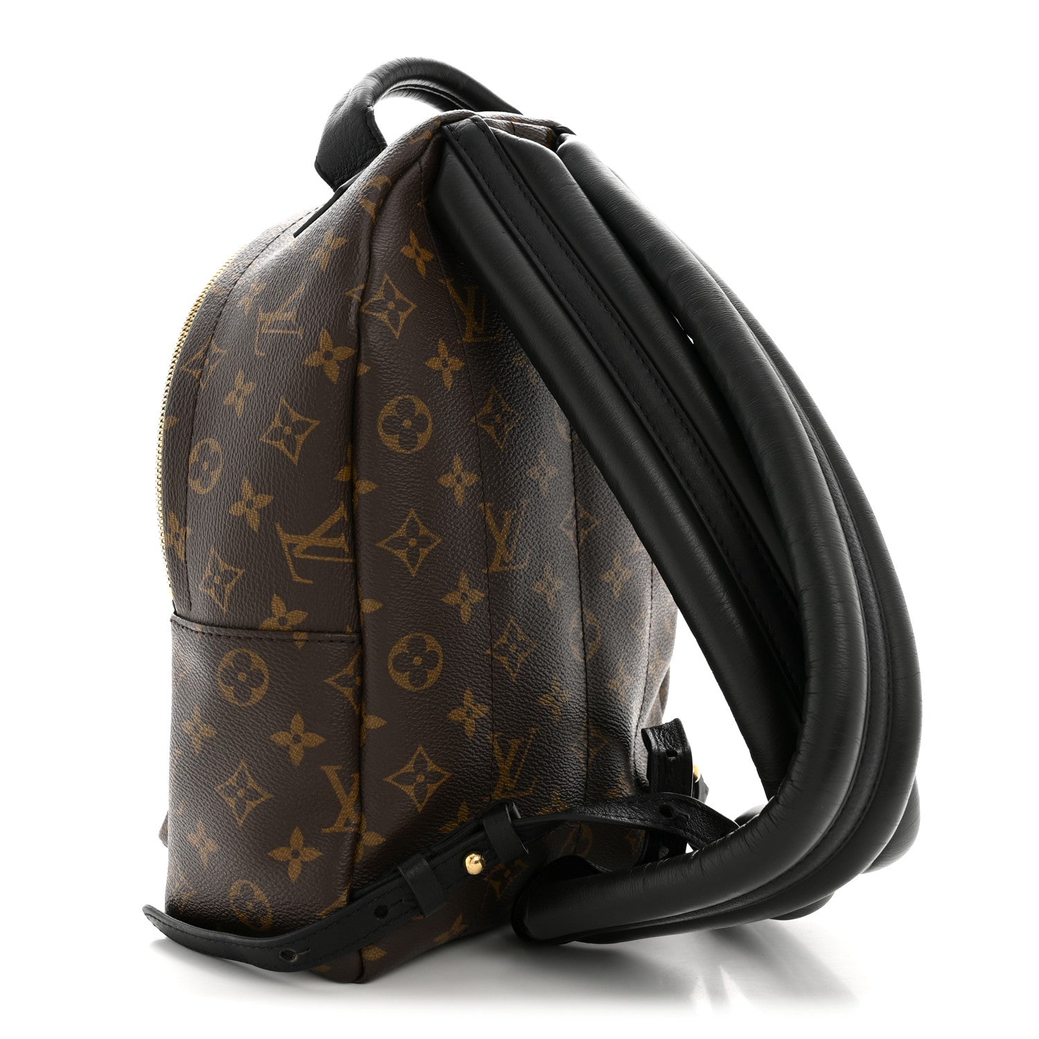 Louis Vuitton Monogram Palm Springs Backpack PM 3 of 13