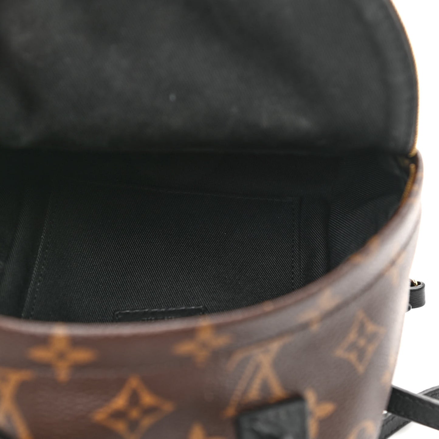 Monogram Palm Springs Backpack Mini