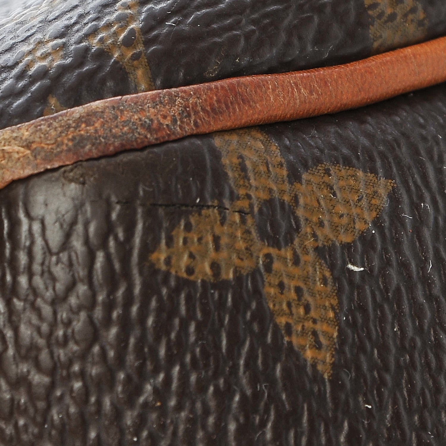 Louis Vuitton Monogram Delightful PM 17 of 23