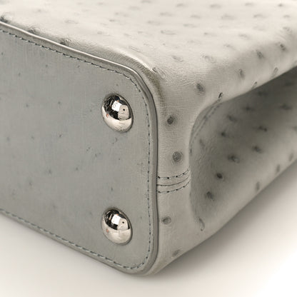 Louis Vuitton Ostrich Capucines BB Gris 8 of 9