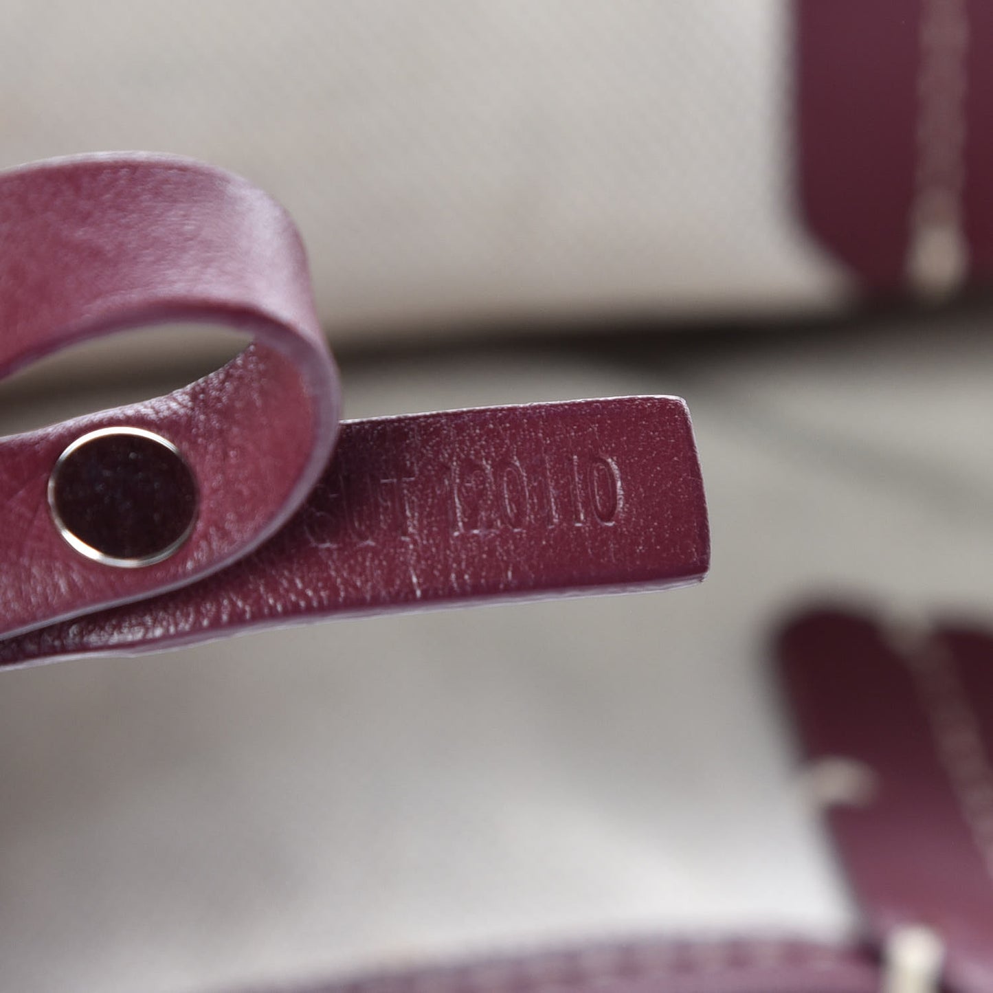 Goyardine Saint Louis GM Bordeaux