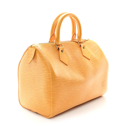 Louis Vuitton Epi Speedy 25 Tassil 3 of 11