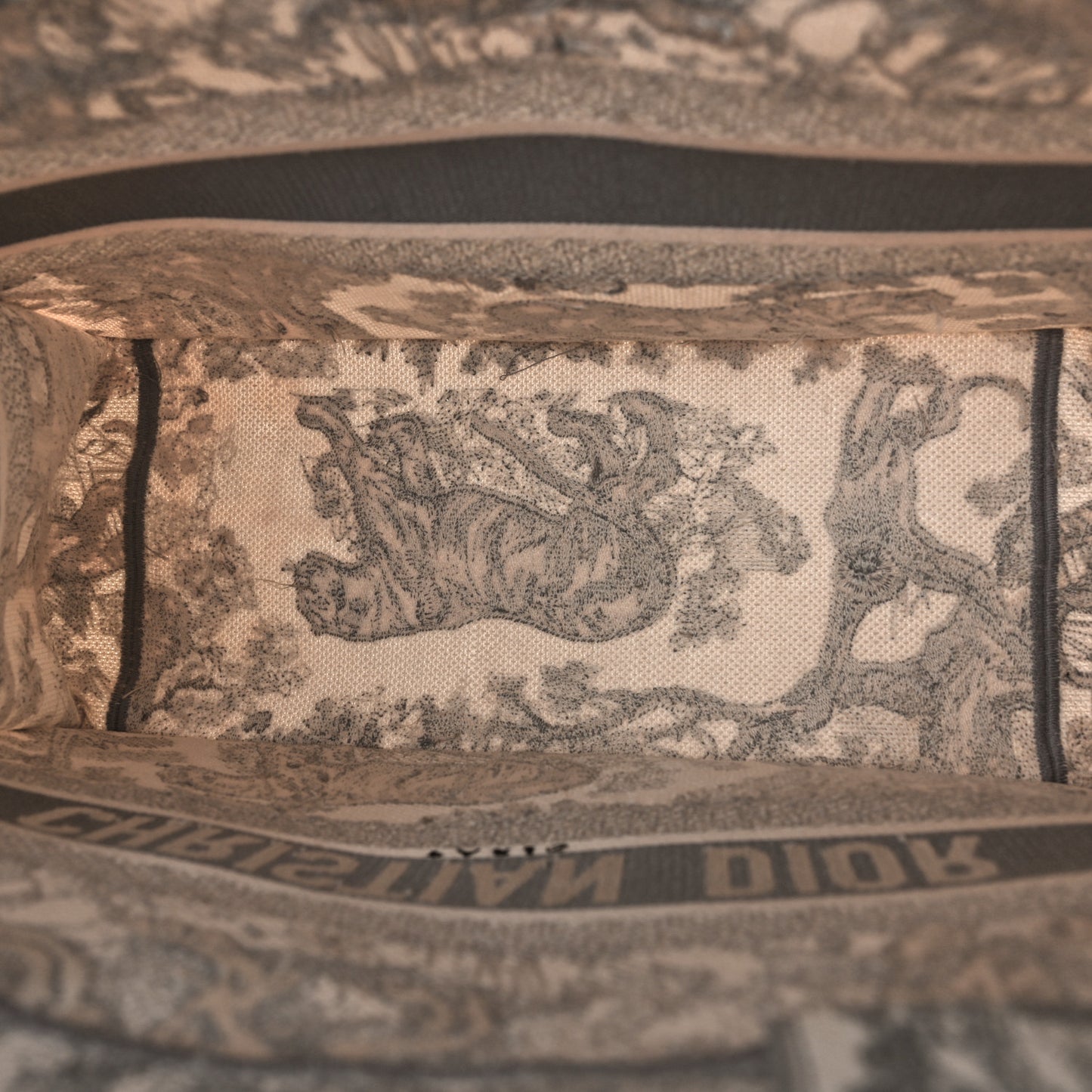 Canvas Embroidered Medium Dioriviera Toile De Jouy Book Tote Gray