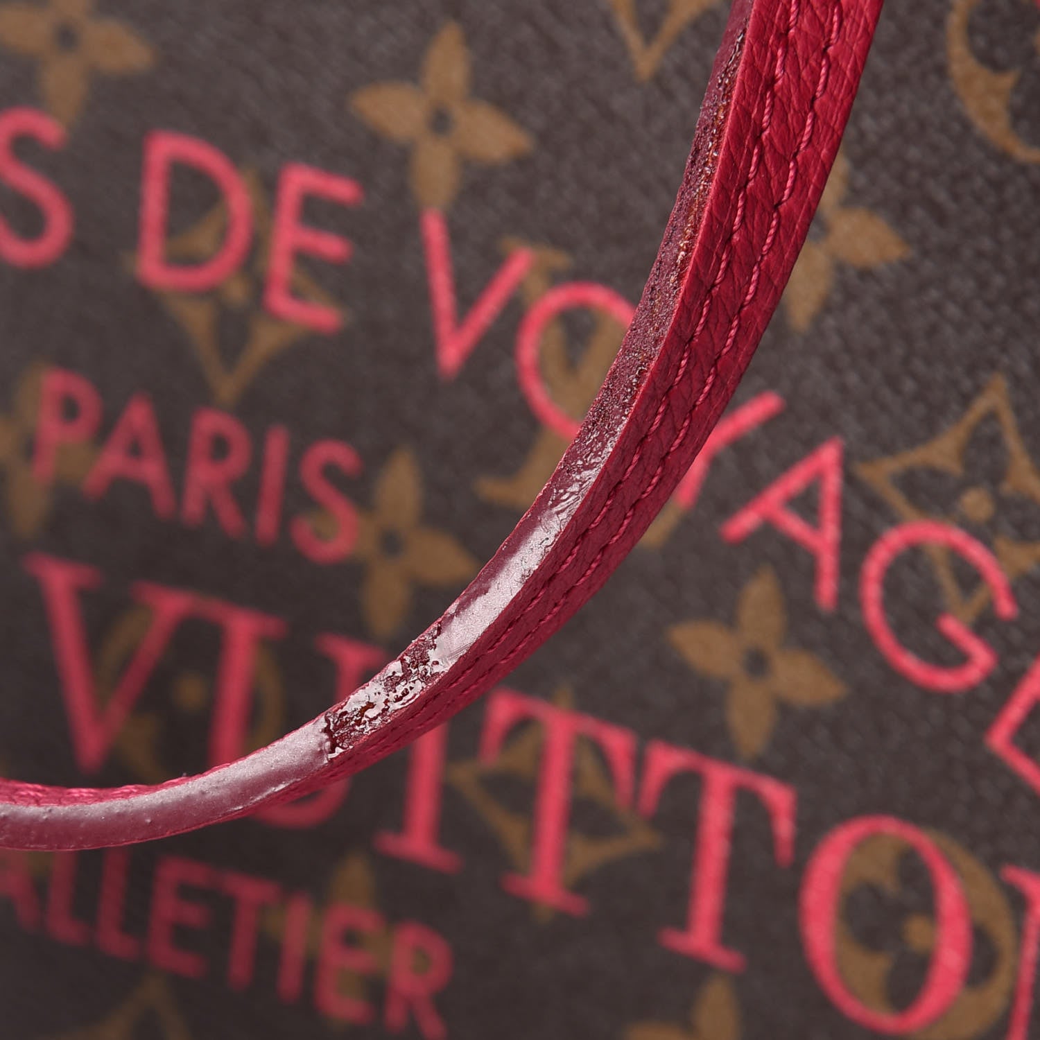 Louis Vuitton Monogram Articles de Voyage Ikat Neverfull MM Rose Indien 10 of 13