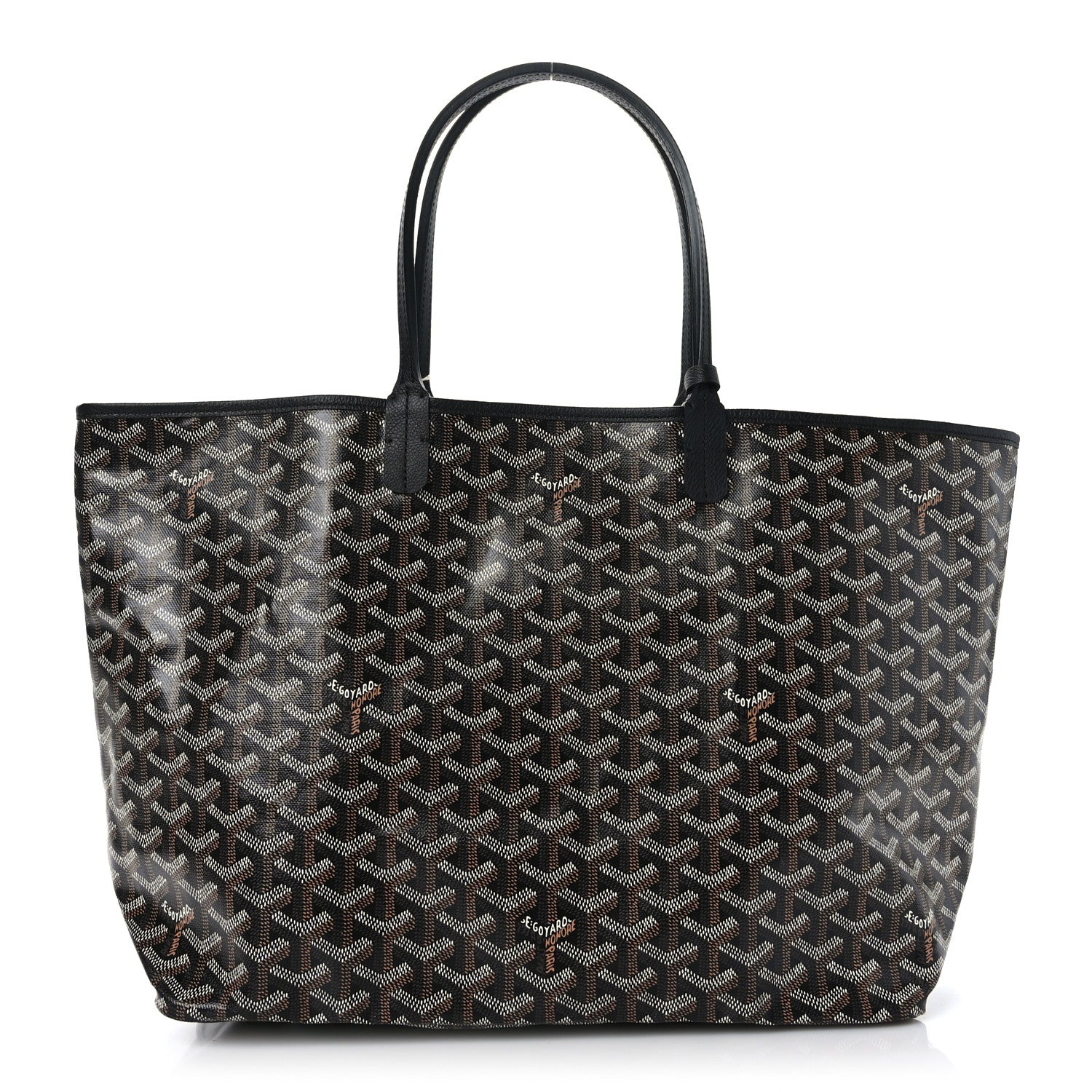 Goyard Goyardine Saint Louis PM Black 1 of 10