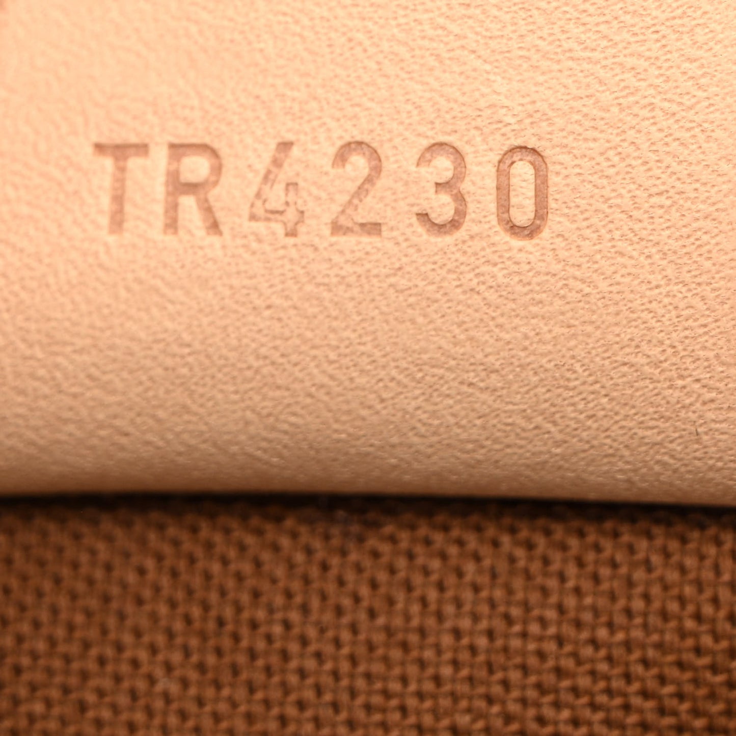 Monogram Nano Speedy