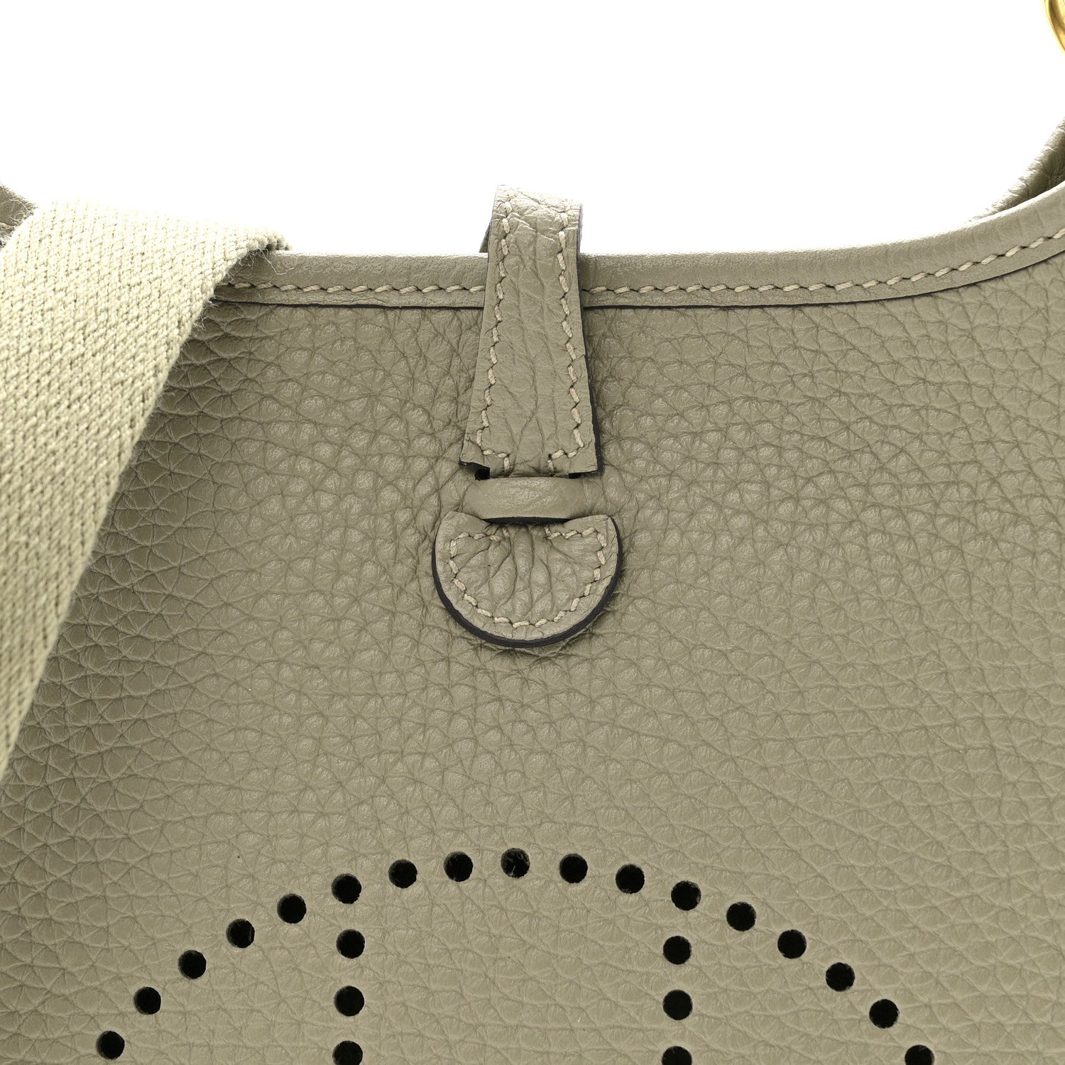 Hermes Taurillon Clemence Amazone Evelyne TPM Sauge 8 of 11