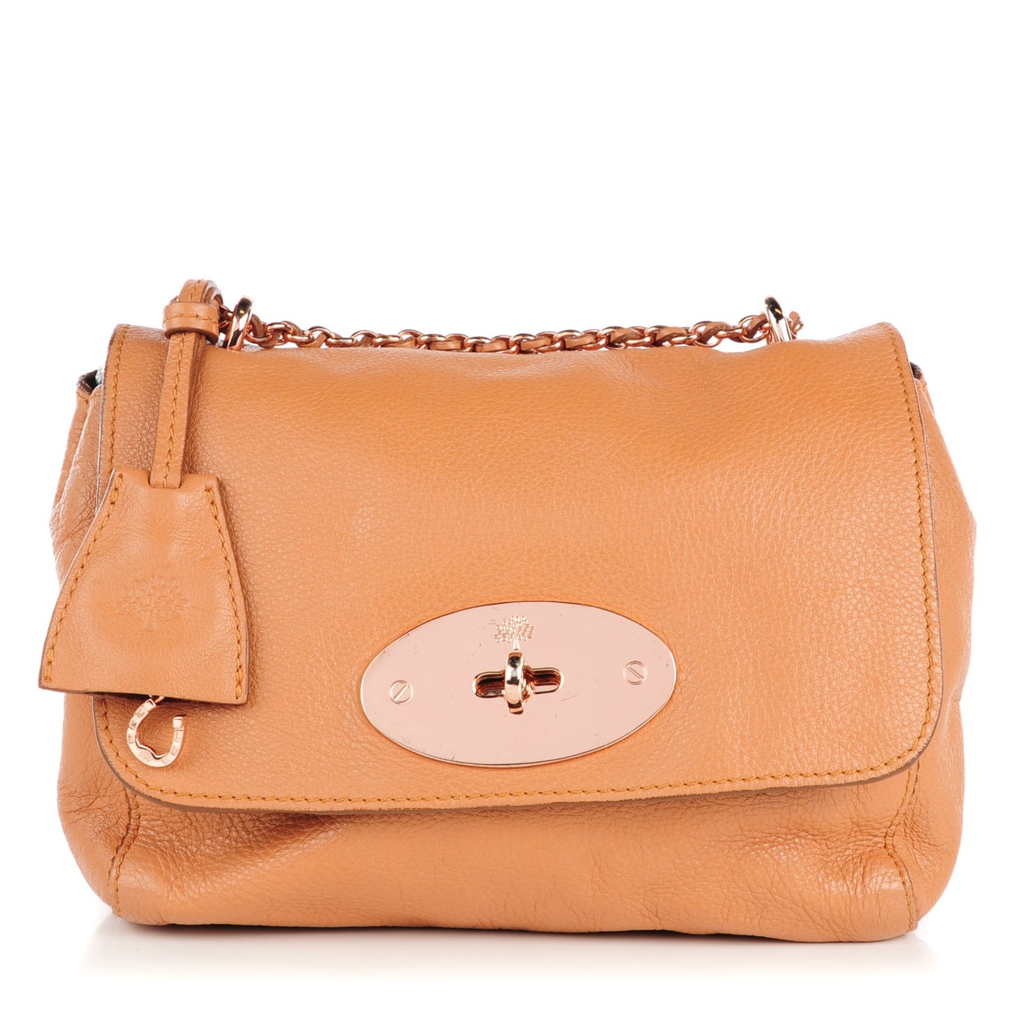 Glossy Goatskin Small Lily Flap Apricot