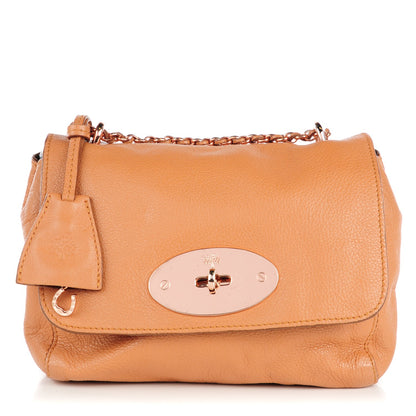 Mulberry Glossy Goatskin Small Lily Flap Apricot 1 of 8
