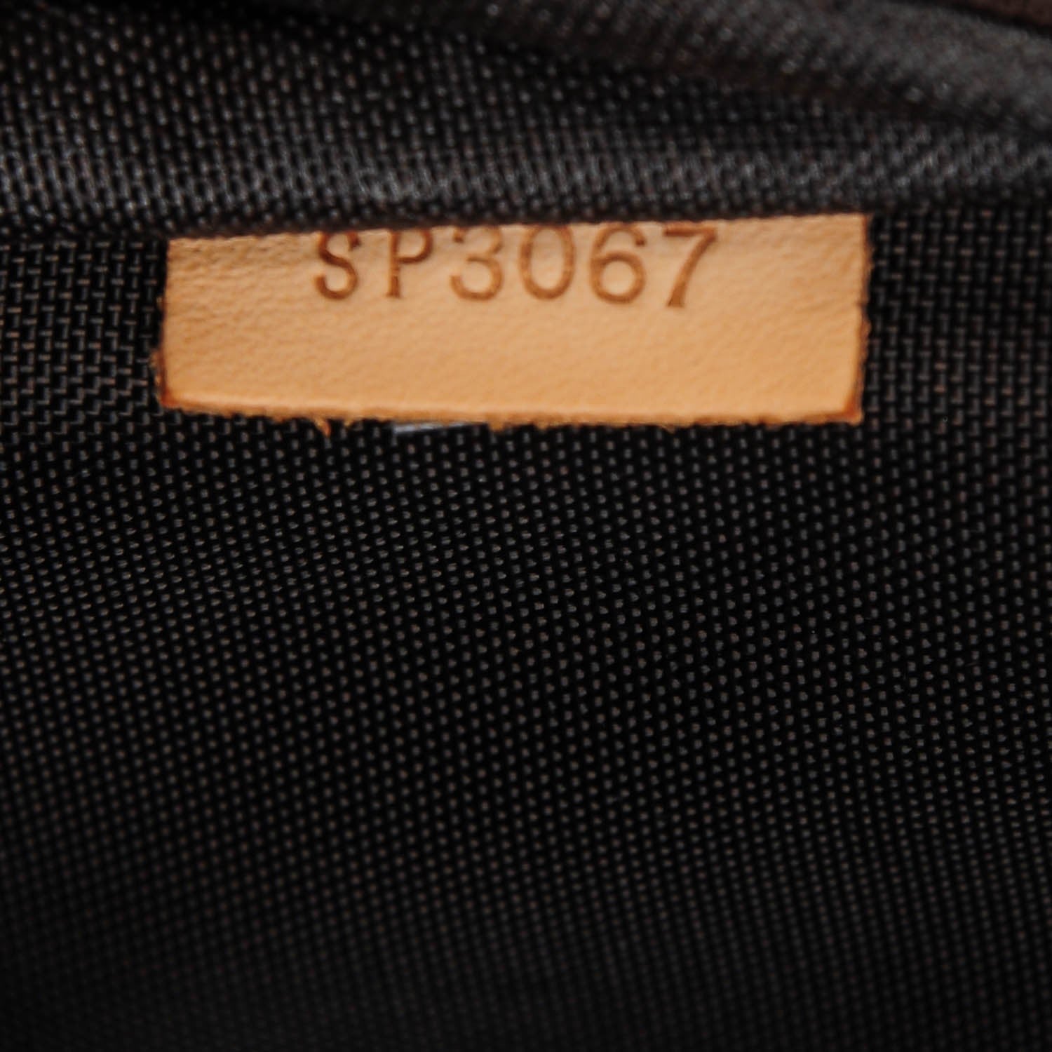 Louis Vuitton Monogram Pegase 70 16 of 17