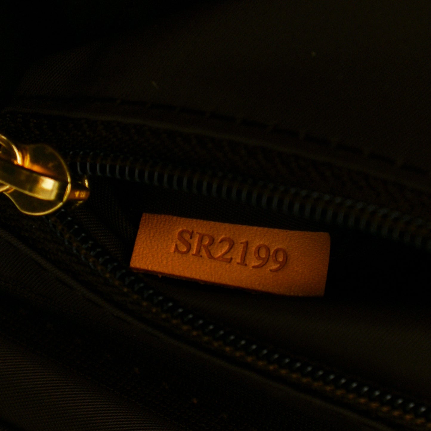 Monogram My LV Heritage Pegase 45