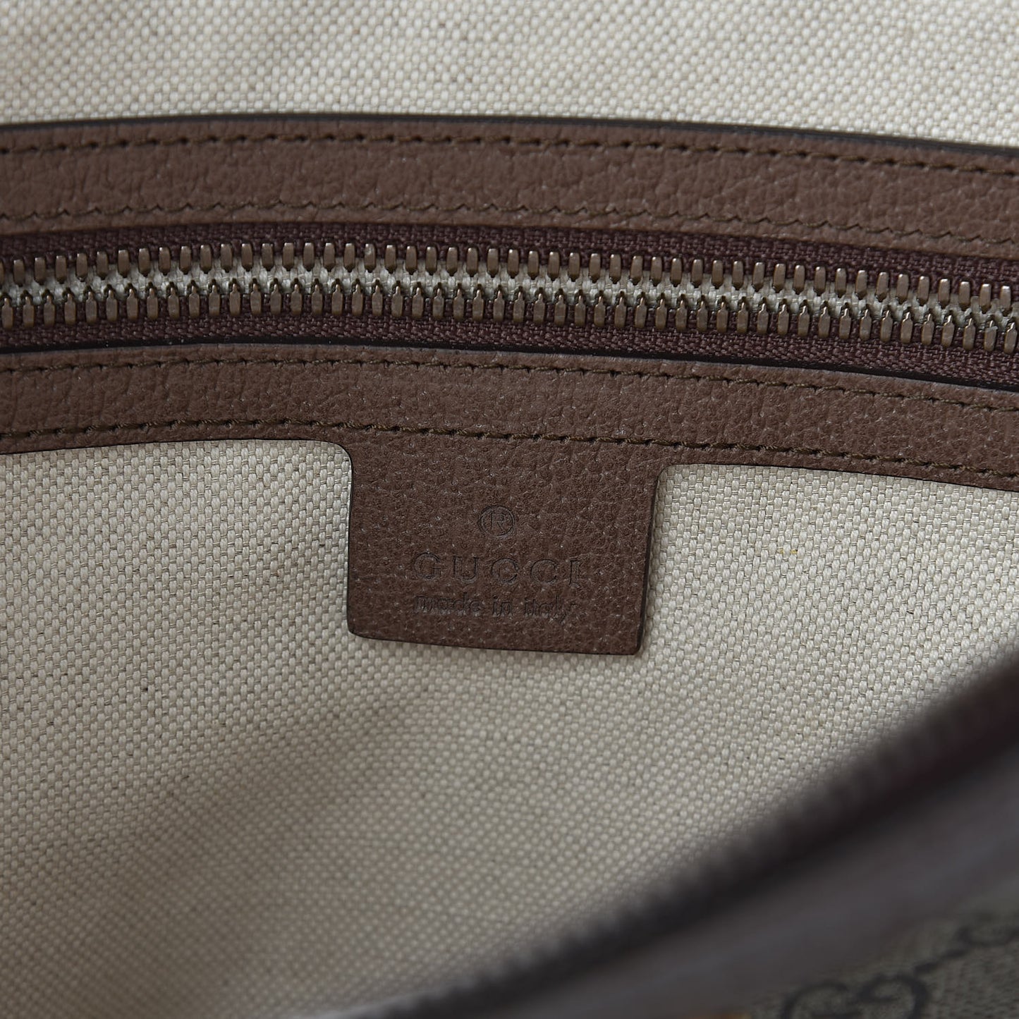 GG Supreme Monogram Web Small Ophidia Half Moon Hobo Brown