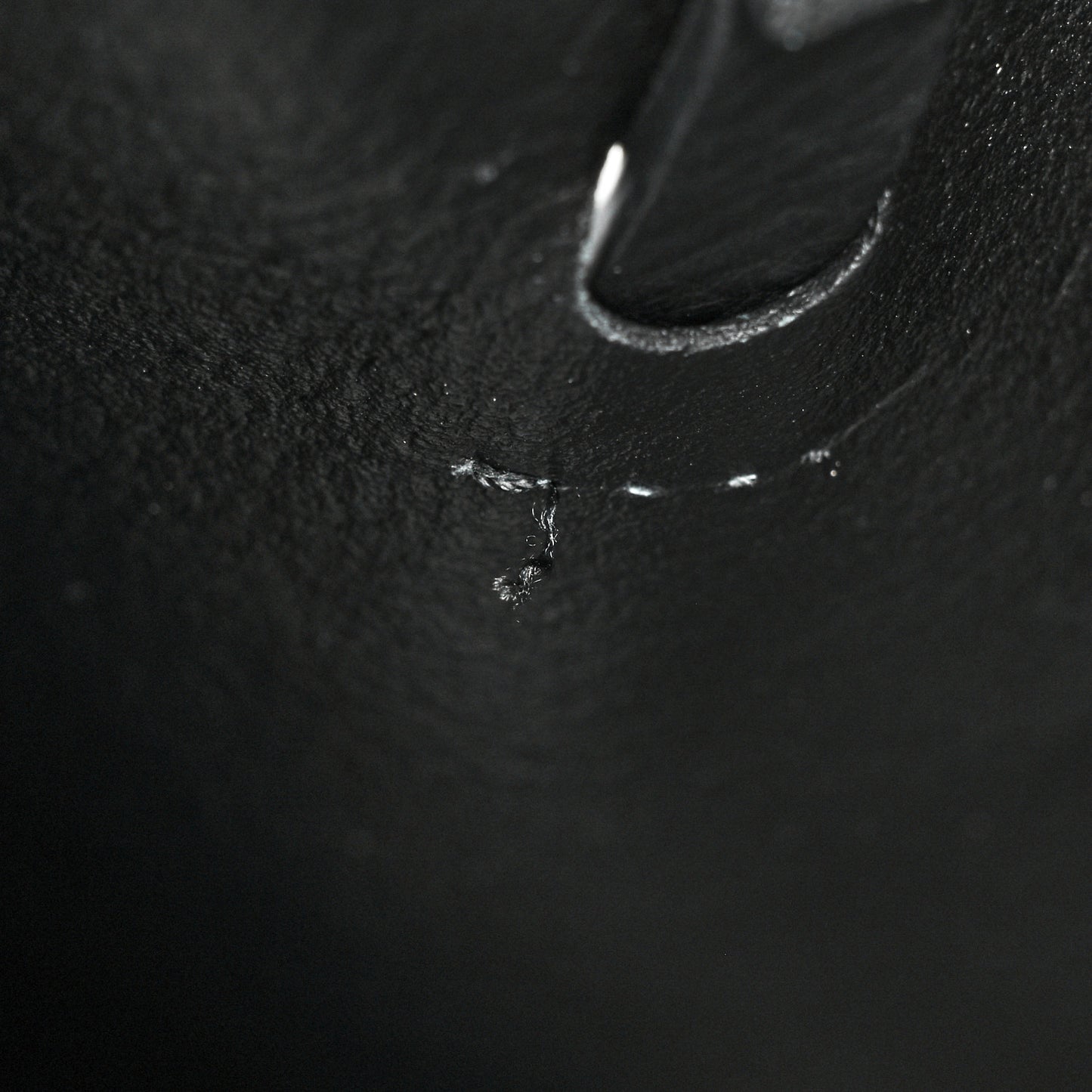 Pebbled Calfskin Large Everyday Tote Black