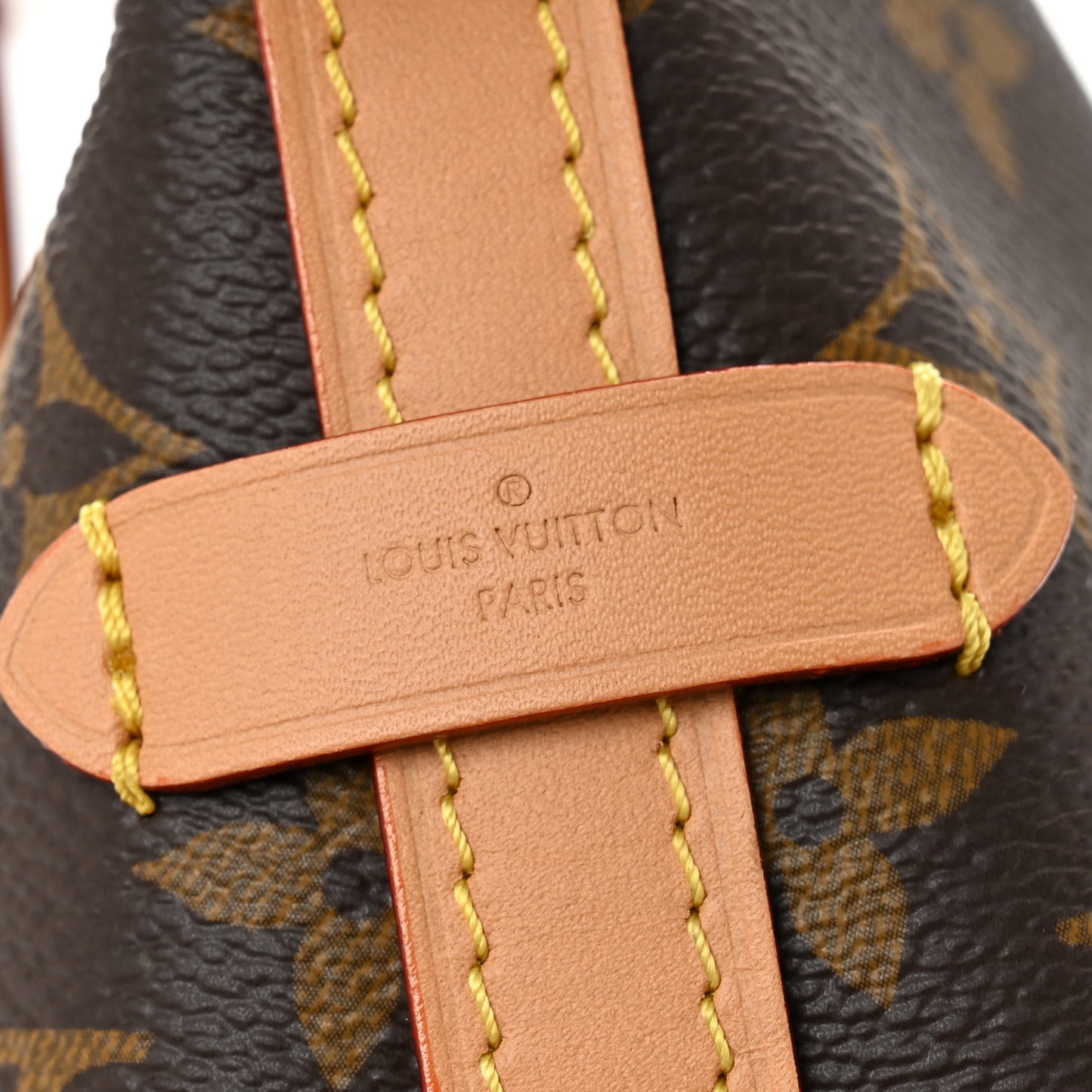 Monogram Carryall PM