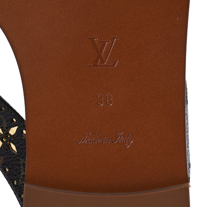 Louis Vuitton Monogram Sunny Flat Thong Sandals 38 Brown 8 of 10