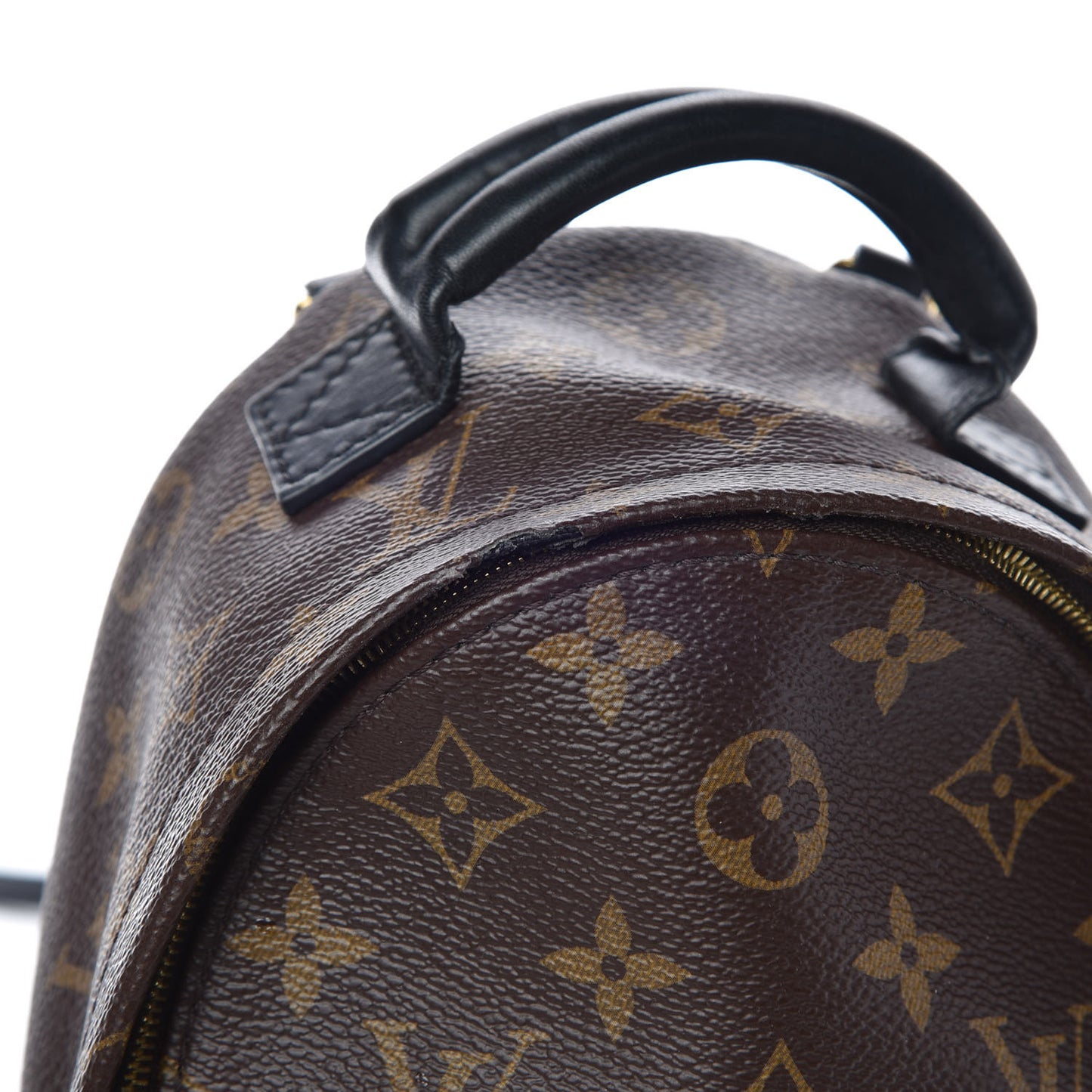 Monogram Palm Springs Backpack Mini