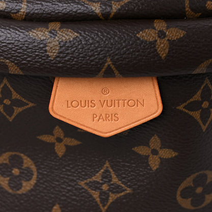 Louis Vuitton Monogram Bumbag 11 of 14