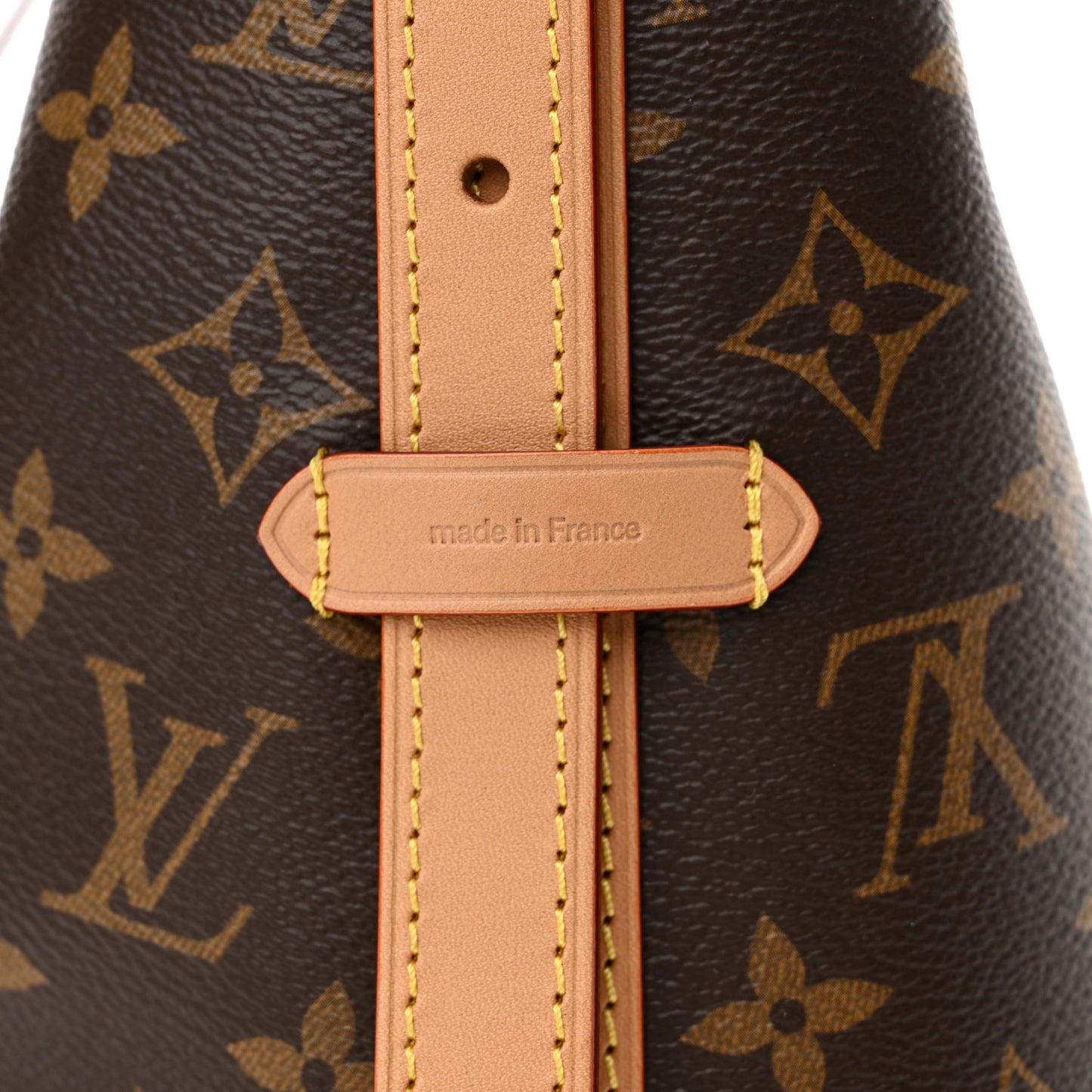 Monogram CarryAll PM