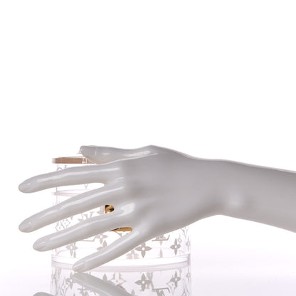 Louis Vuitton Transparent Plexiglass Box Scott 2 of 6