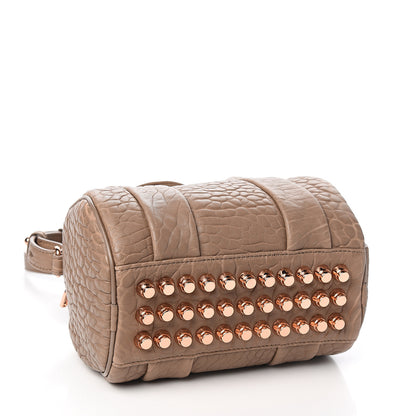 Alexander Wang Pebbled Lambskin Mini Rockie Latte Rose Gold Hardware 3 of 8