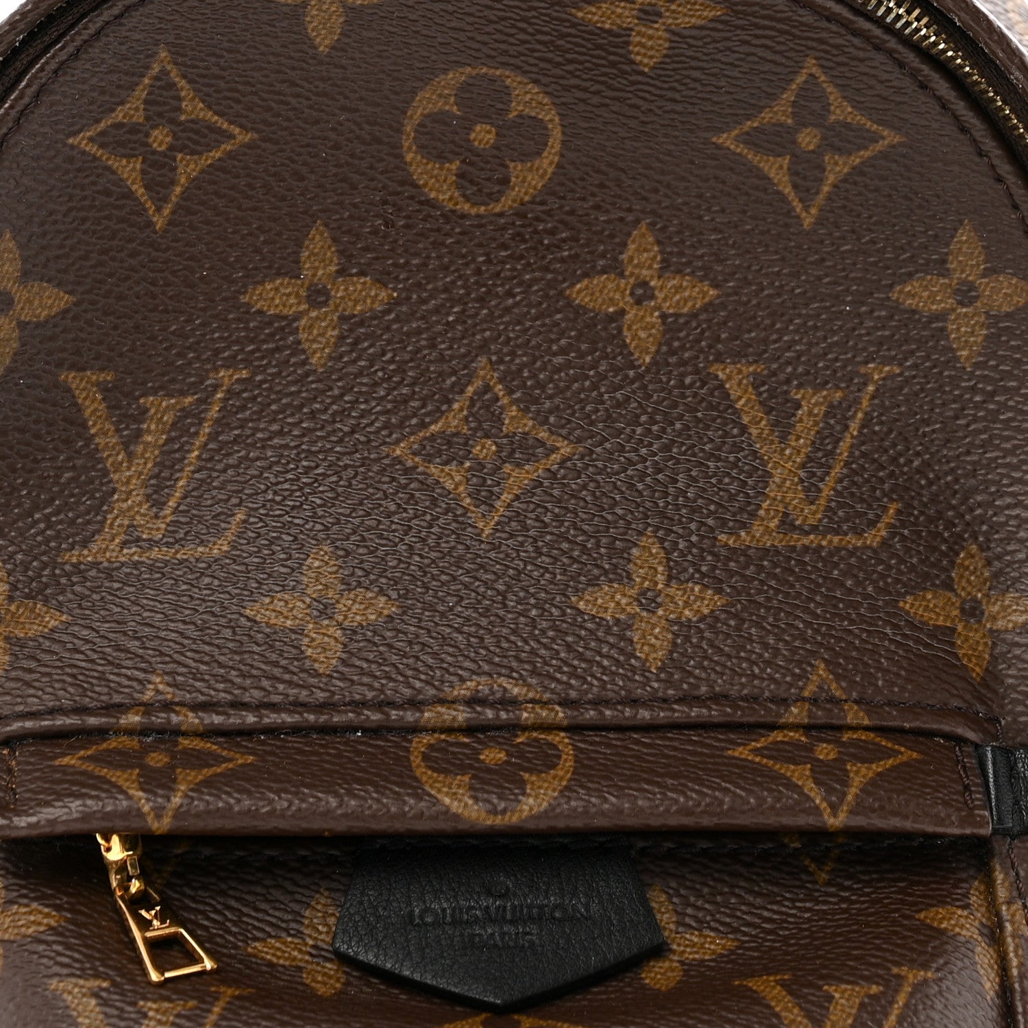 Louis Vuitton Monogram Palm Springs Backpack Mini 7 of 12