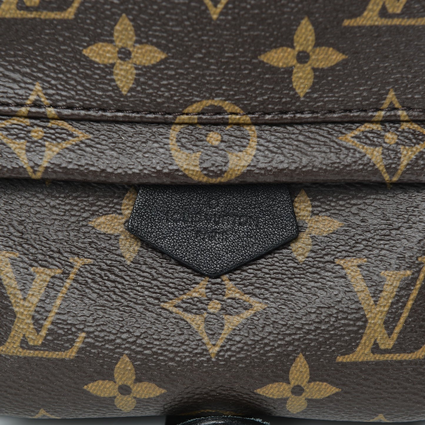 Monogram Palm Springs Backpack Mini