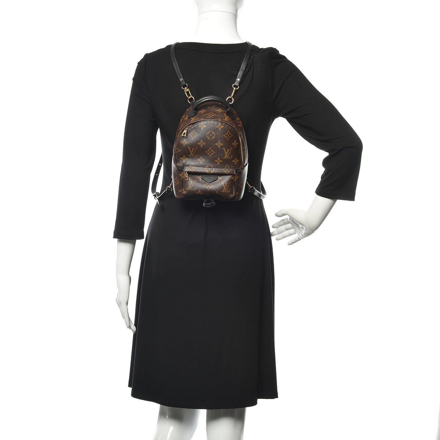 Monogram Palm Springs Backpack Mini