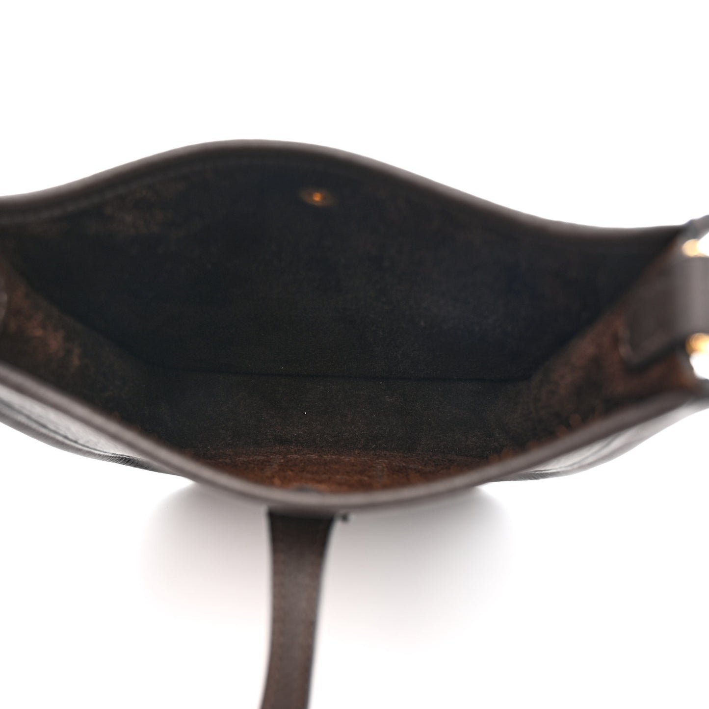 Taurillon Clemence Evelyne TPM Chocolate