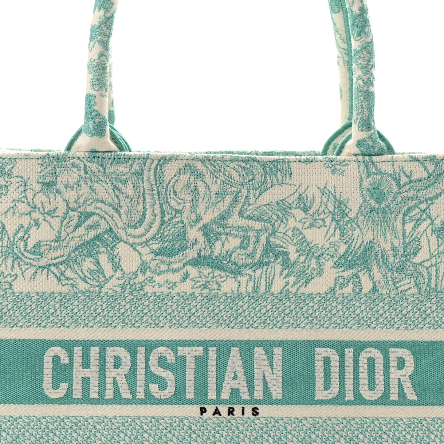 Canvas Embroidered Medium Dioriviera Toile De Jouy Book Tote Aquamarina
