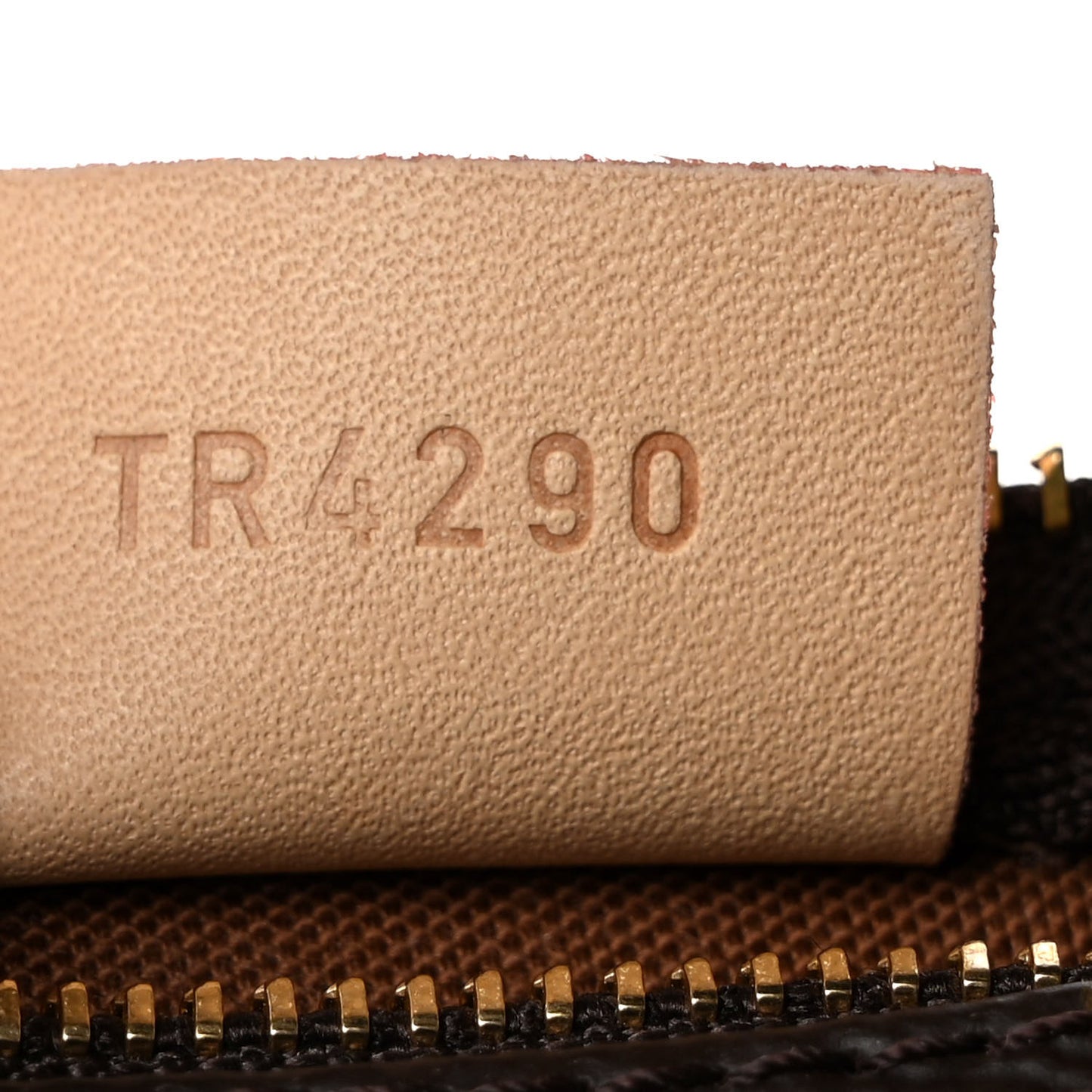 Monogram Nano Speedy