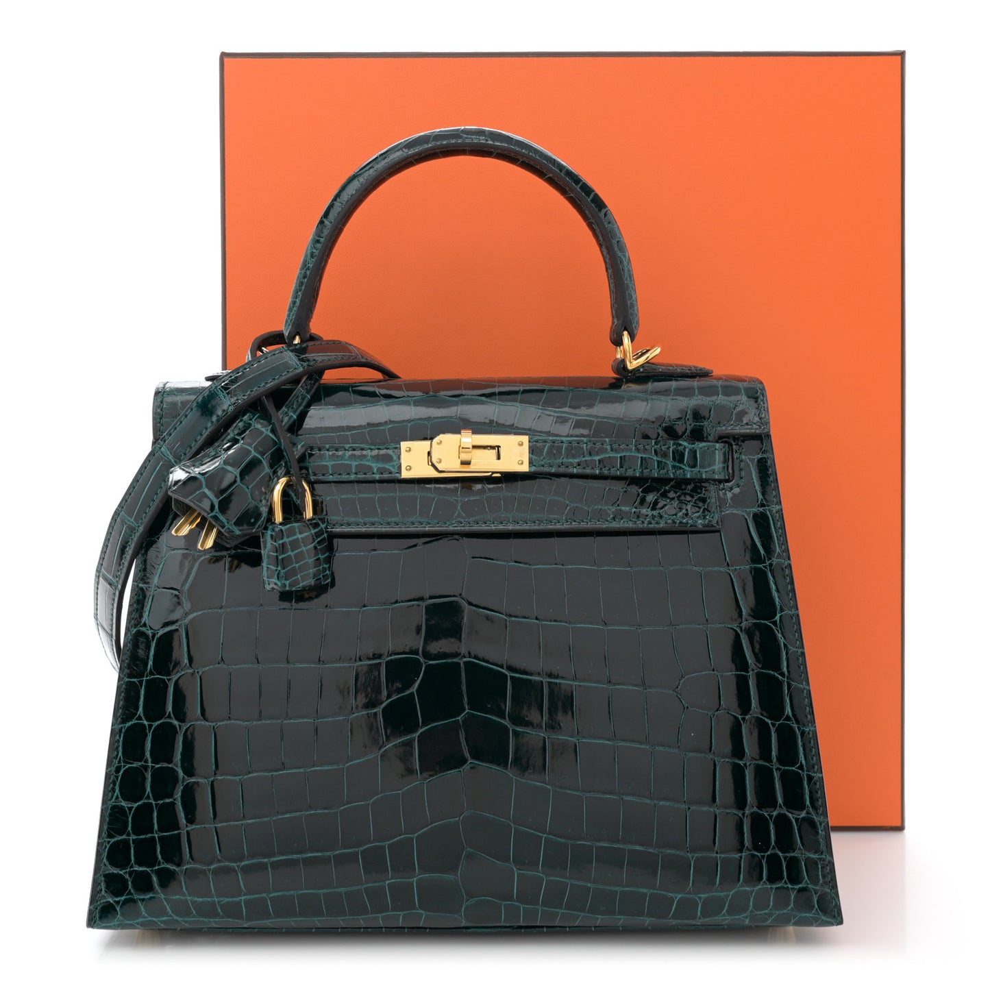 Shiny Niloticus Crocodile Kelly Sellier 25 Vert Cypress