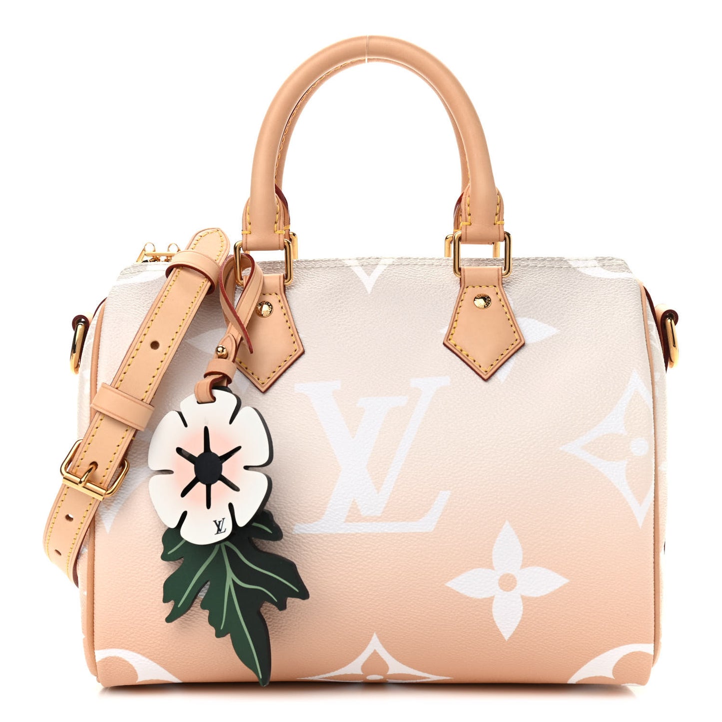 Monogram Giant By The Pool Speedy Bandouliere 25 Brume