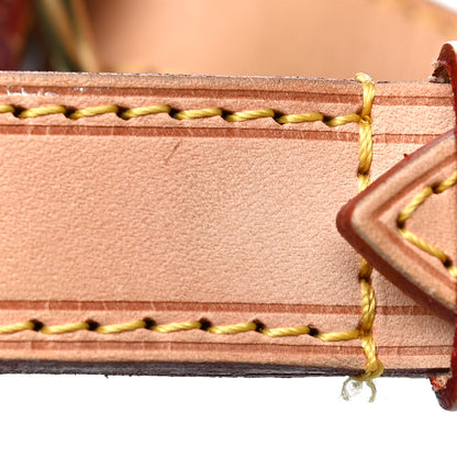 Louis Vuitton Monogram Petit Noe NM 15 of 24