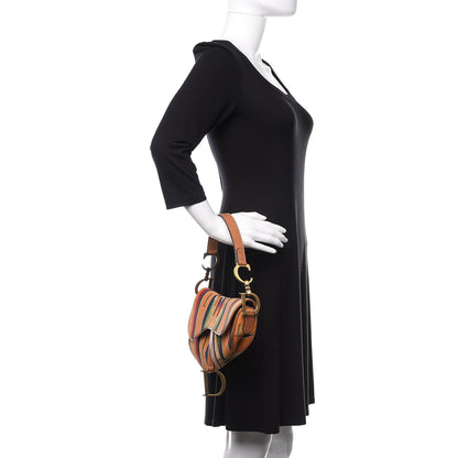Christian Dior Canvas Stripe Saddle Bag Multicolor 2 of 12