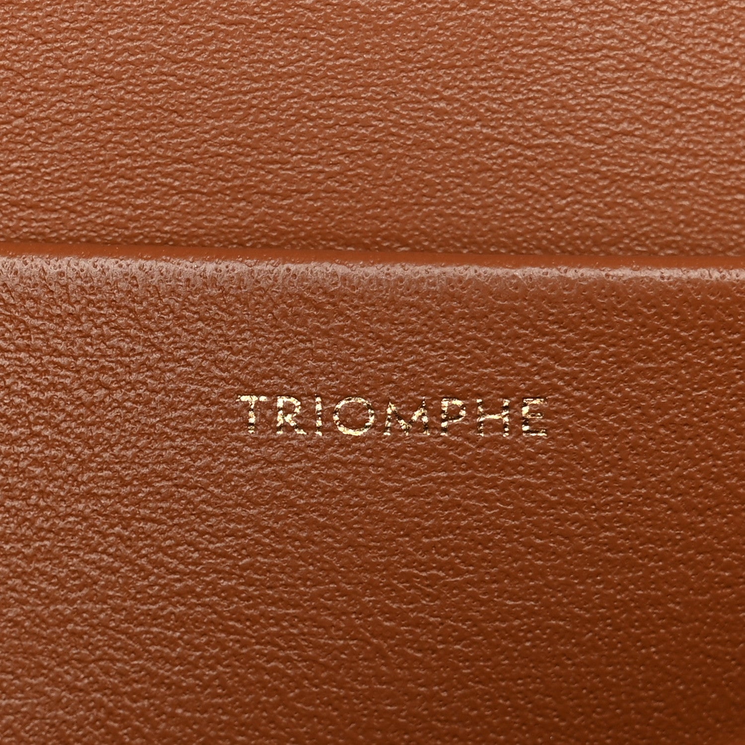 Celine Triomphe Canvas Calfskin Medium Triomphe Bag Tan 5 of 10