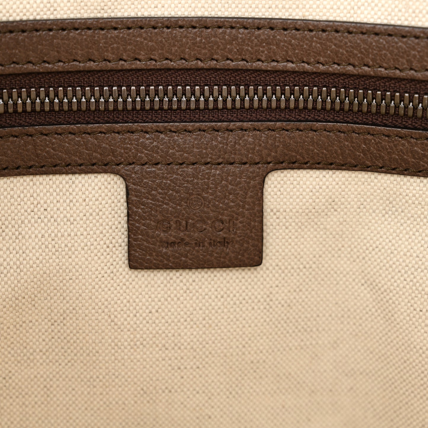 GG Supreme Monogram Web Small Ophidia Half Moon Hobo Brown