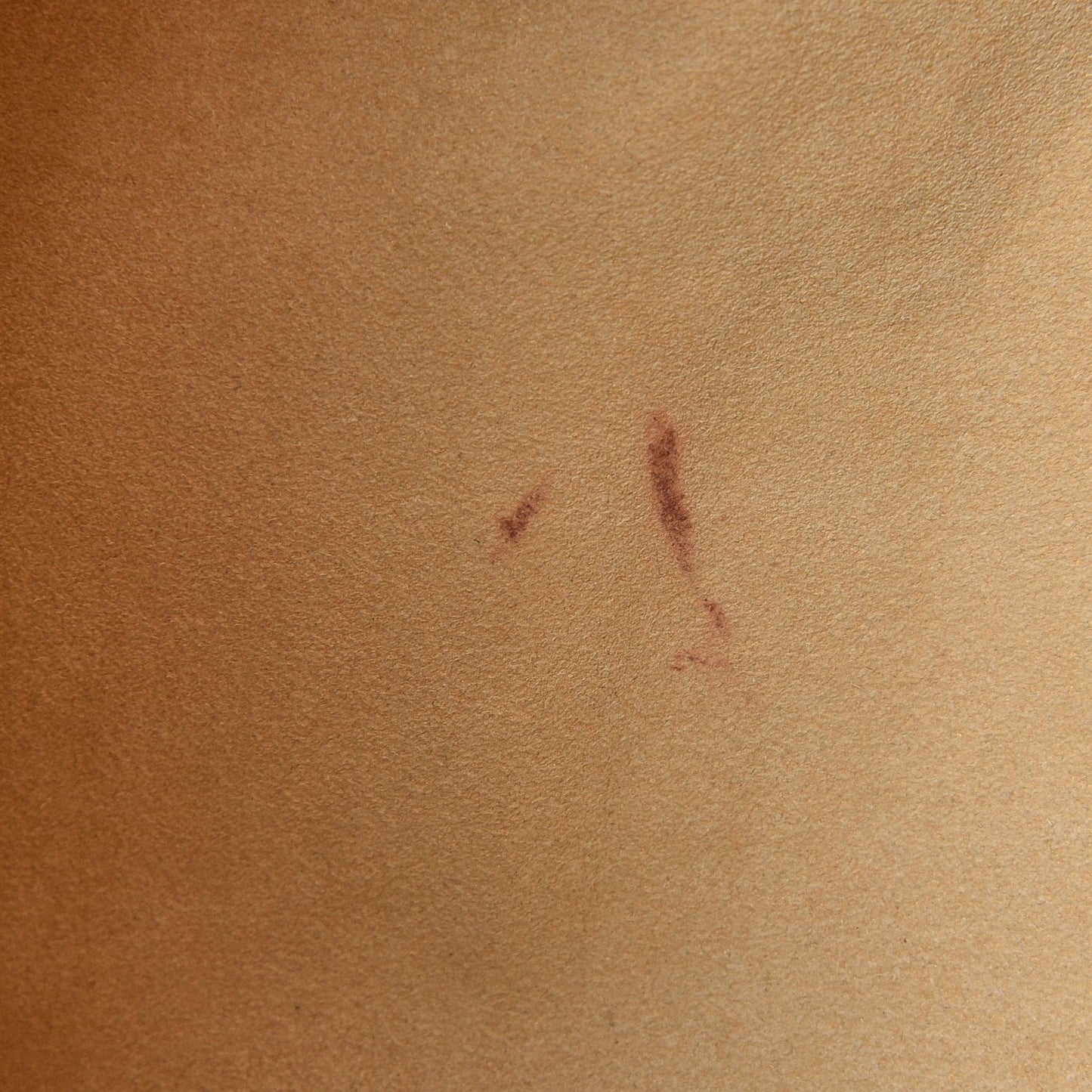 Monogram Galliera PM