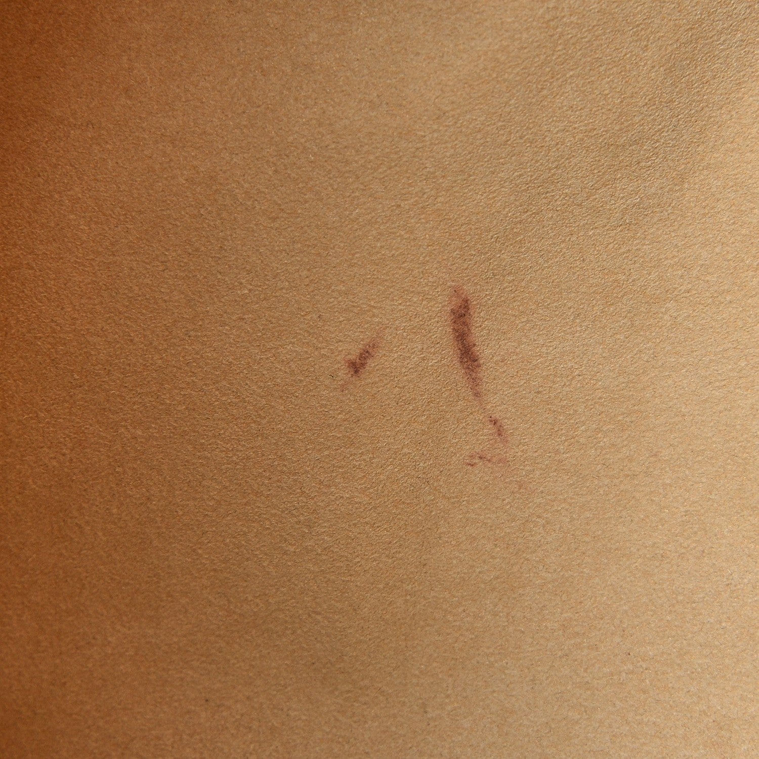 Louis Vuitton Monogram Galliera PM 8 of 16