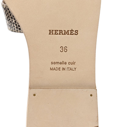 Hermes Lizard Oran Sandals 36 Ombre 6 of 11