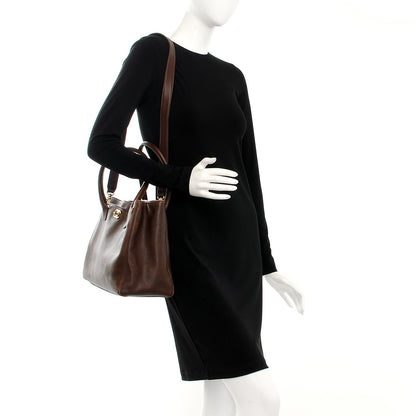 Chanel Calfskin Cerf Executive Shopper Tote Brown 2 of 12