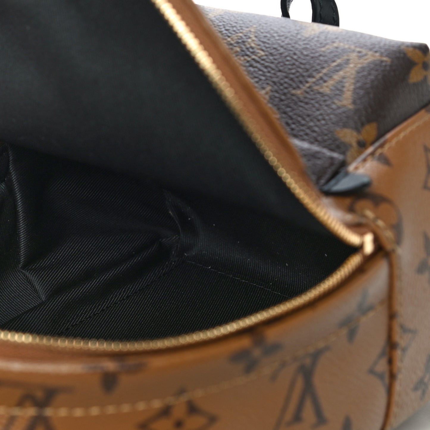 Reverse Monogram Palm Springs Backpack Mini