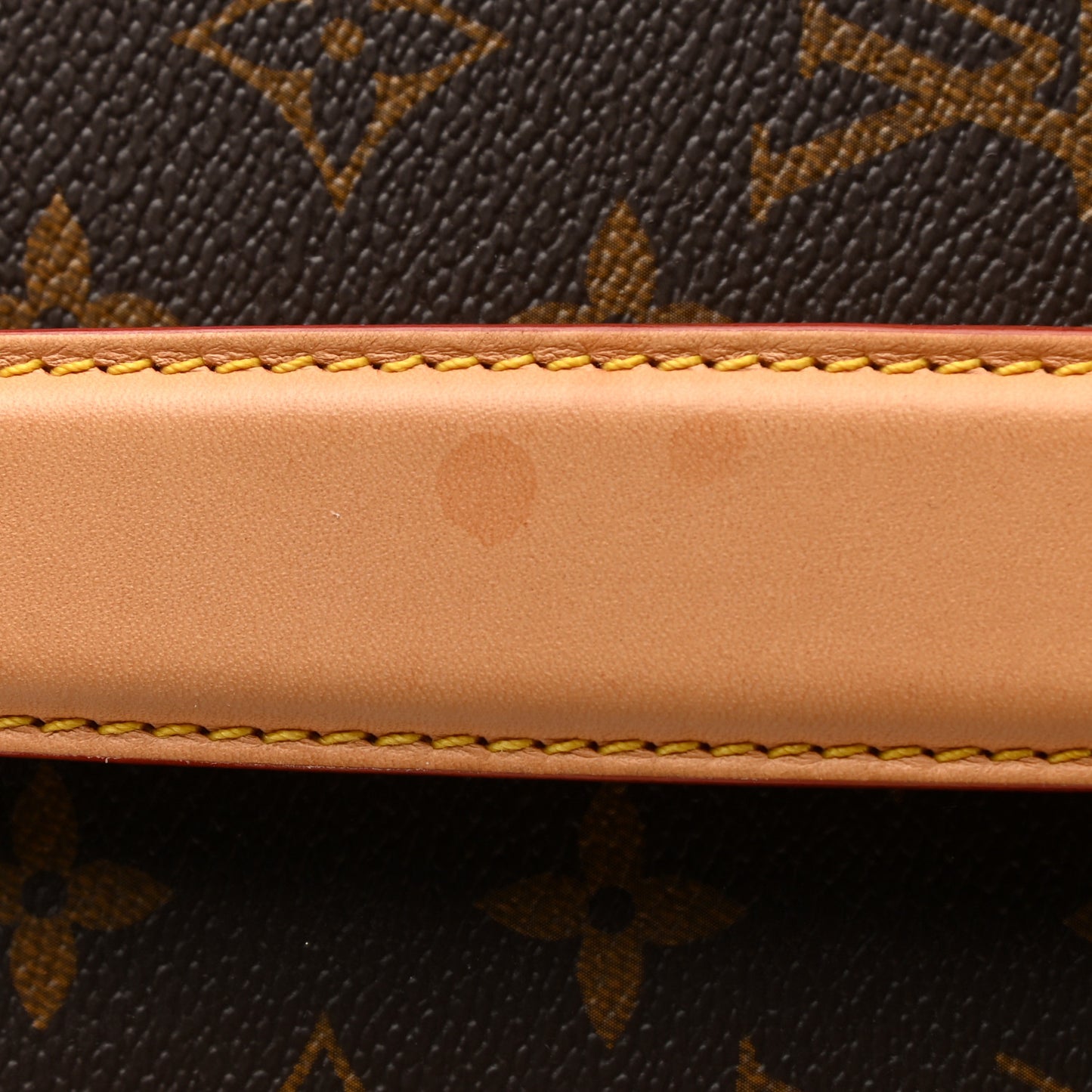 Monogram Pegase Legere Business 55